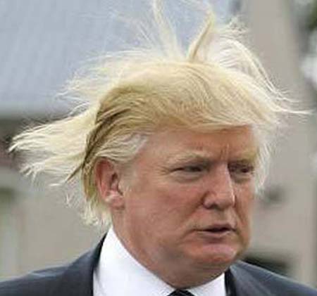 ドナルド・トランプ 髪の毛
