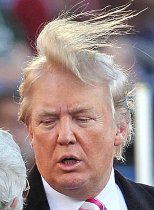 ドナルド・トランプ かつら